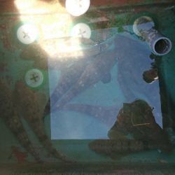 FISHING RISKY 釣果