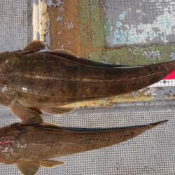 FISHING RISKY 釣果