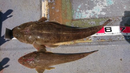 FISHING RISKY 釣果