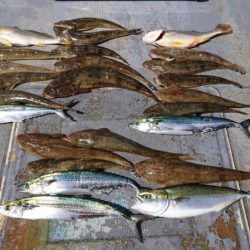 FISHING RISKY 釣果