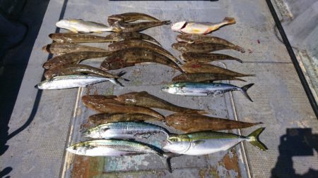 FISHING RISKY 釣果