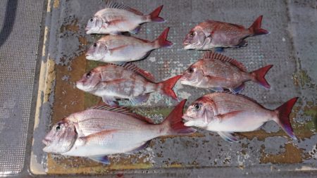 FISHING RISKY 釣果