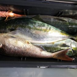 あみや渡船 JIGBOY 釣果