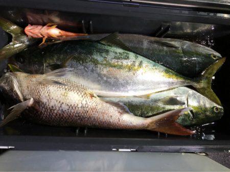 あみや渡船 JIGBOY 釣果