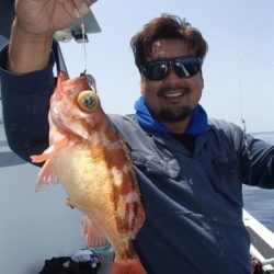 第二むつ漁丸 釣果