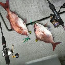 IDATEN(イダテン) 釣果