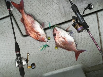 IDATEN(イダテン) 釣果