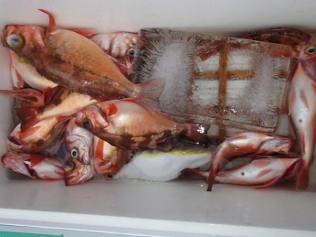 第二むつ漁丸 釣果