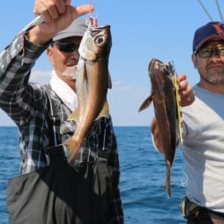 へいみつ丸 釣果