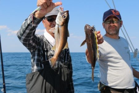 へいみつ丸 釣果