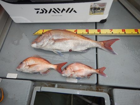 sea boss　シーボス 釣果