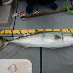 sea boss　シーボス 釣果