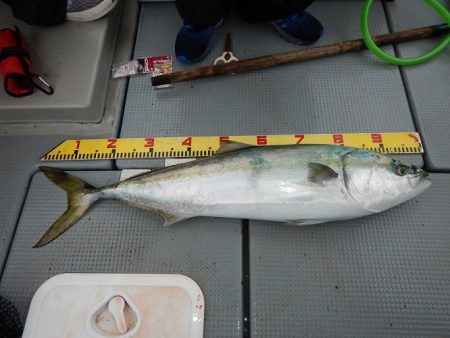 sea boss　シーボス 釣果