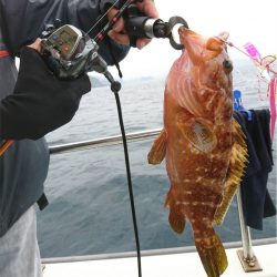 マタウマリンサービス 釣果