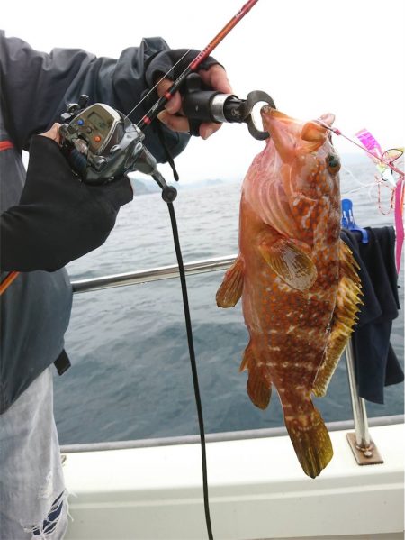 マタウマリンサービス 釣果