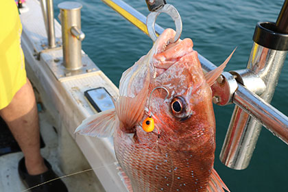 松本釣船２ 釣果