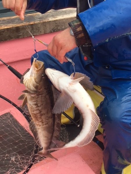 第八平成丸 釣果