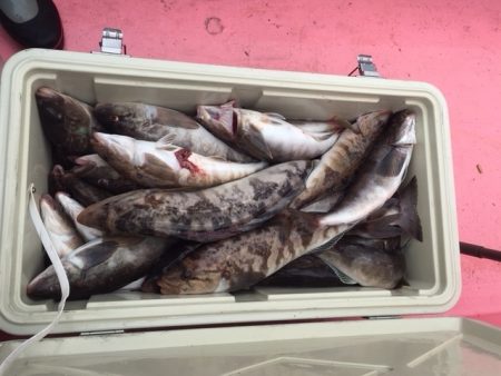 第八平成丸 釣果