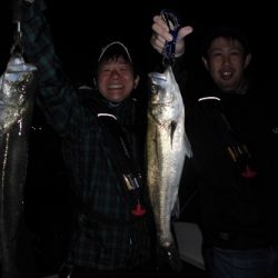 ルアー船マヒマヒ 釣果