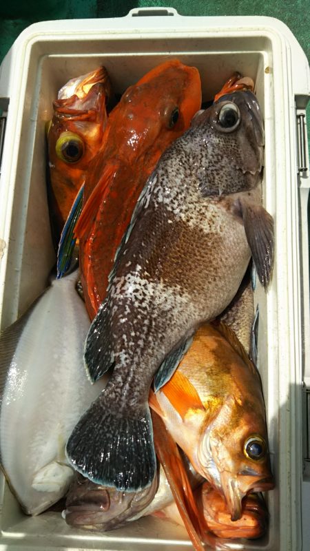 モンロー号 釣果