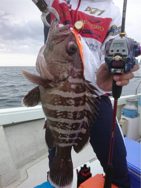 マタウマリンサービス 釣果