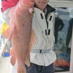 オーフリー 釣果