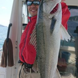 オーフリー 釣果