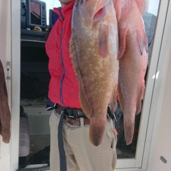 オーフリー 釣果