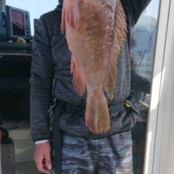 オーフリー 釣果