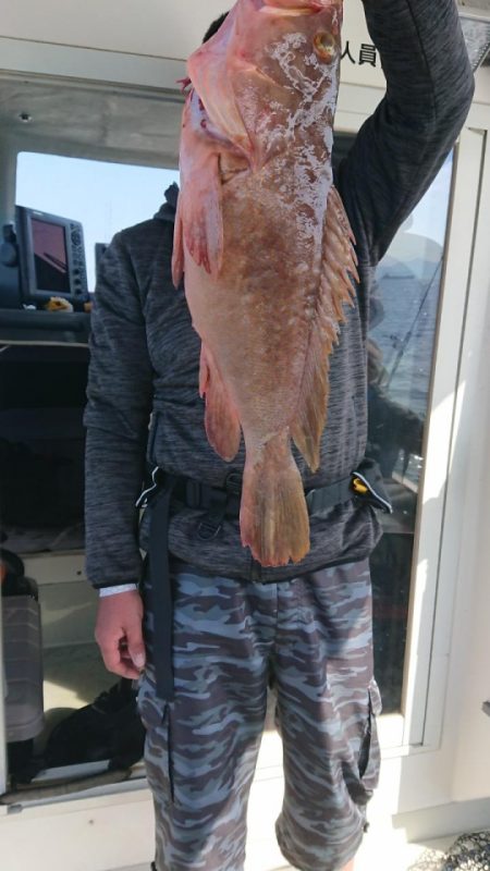 オーフリー 釣果