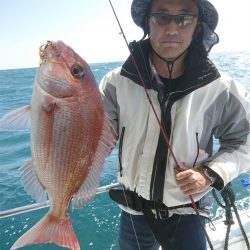 マタウマリンサービス 釣果