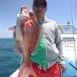 マタウマリンサービス 釣果