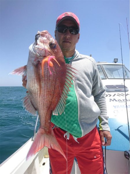 マタウマリンサービス 釣果