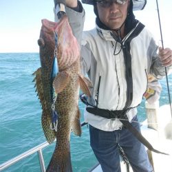 マタウマリンサービス 釣果