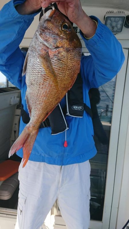 オーフリー 釣果