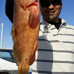 オーフリー 釣果