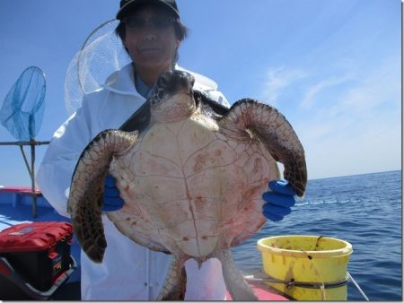 海正丸 釣果