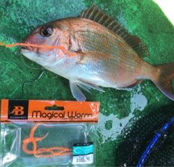 利弥丸（としやまる） 釣果