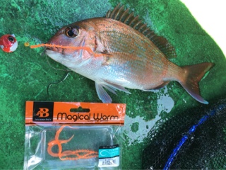 利弥丸（としやまる） 釣果