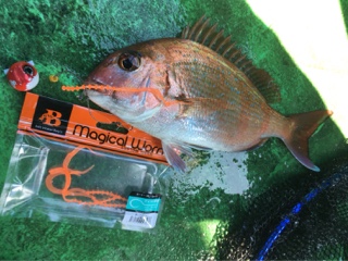 利弥丸（としやまる） 釣果