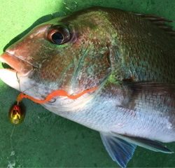 利弥丸（としやまる） 釣果