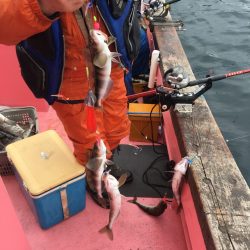 第八平成丸 釣果