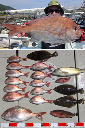 来温丸（らいおんまる） 釣果