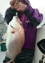 海龍丸(福岡) 釣果