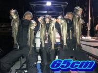 オーシャンマスター 釣果