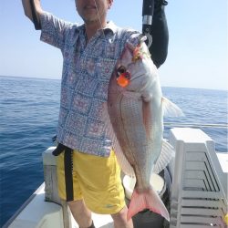 マタウマリンサービス 釣果