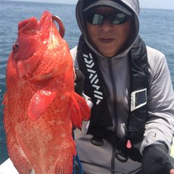 マタウマリンサービス 釣果