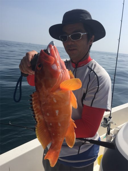 マタウマリンサービス 釣果