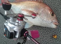 愛裕南丸 釣果