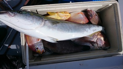 海龍丸（福岡） 釣果